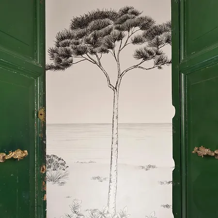 Palazzo Tridente 招待所 罗马